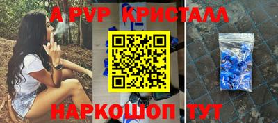 стаф Новокубанск