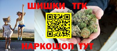 амф Новозыбков
