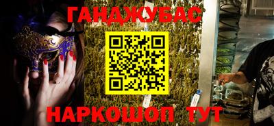 стаф Новокубанск