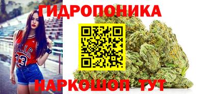 apvp Новодвинск