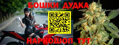 амф Новозыбков