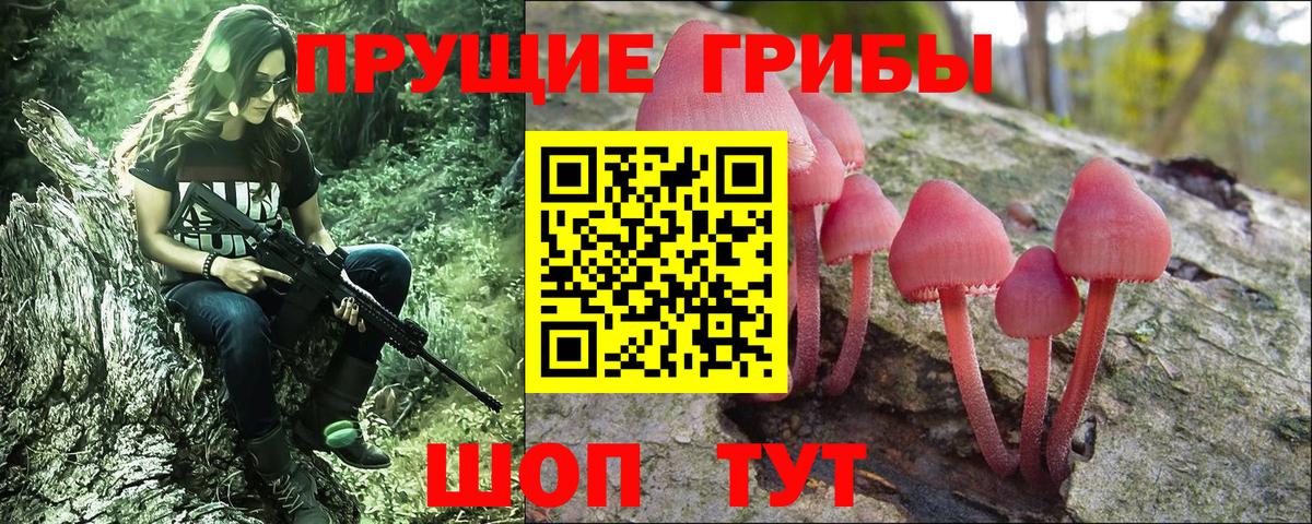 Дятьково  Галлюциногенные грибы Magic Shrooms  цена наркотик  Вход с VPN 